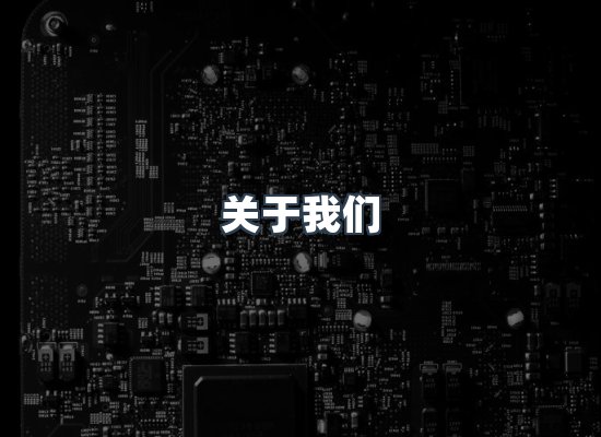 专业团队